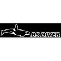 BS Diver